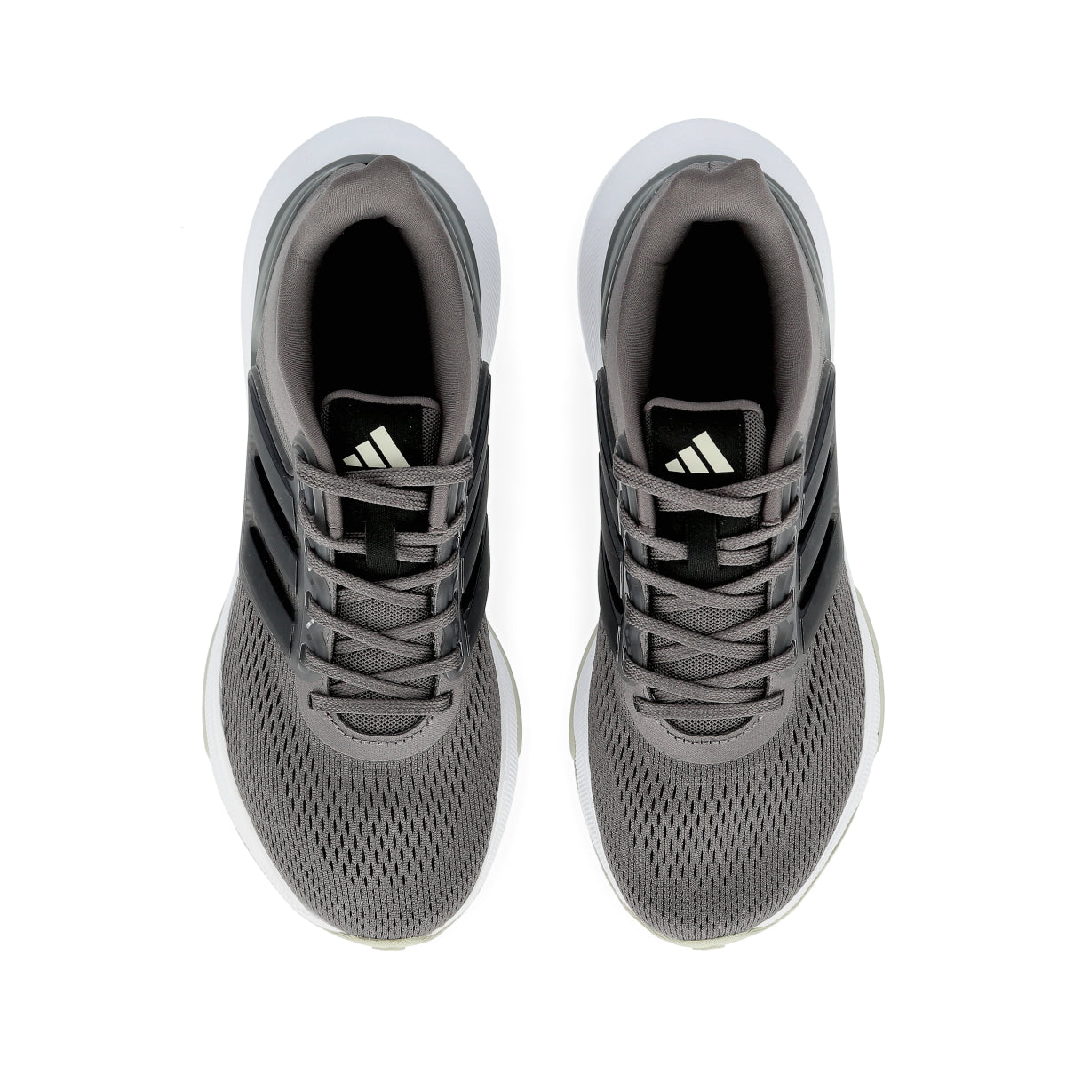 Zapatillas Ultrabounce Hombre